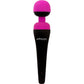 PalmPower Massage Wand Recharge Waterproof