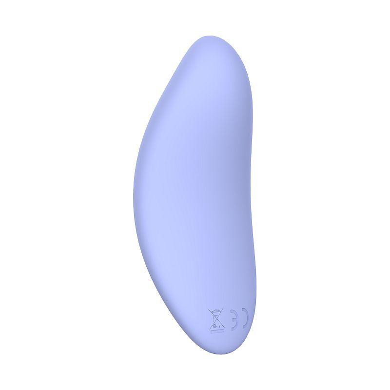 Destiny Vibrating Massager