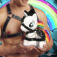 Prism Pearl Bondage Pony
