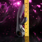 Evolved BLACK MAGIC - Black 20 cm USB Rechargeable Rabbit Vibrator with LED Screen