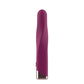 Passion Play Rechargeable Vibrating Bullet - Purple - Purple 12 cm USB Rechargeable Vibrating Bullet