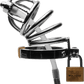 Stainless Steel Chastity Cage With Silicone Urethral Plug - Btantalized.com.au