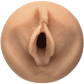 Sasha Grey Pussy - Btantalized.com.au