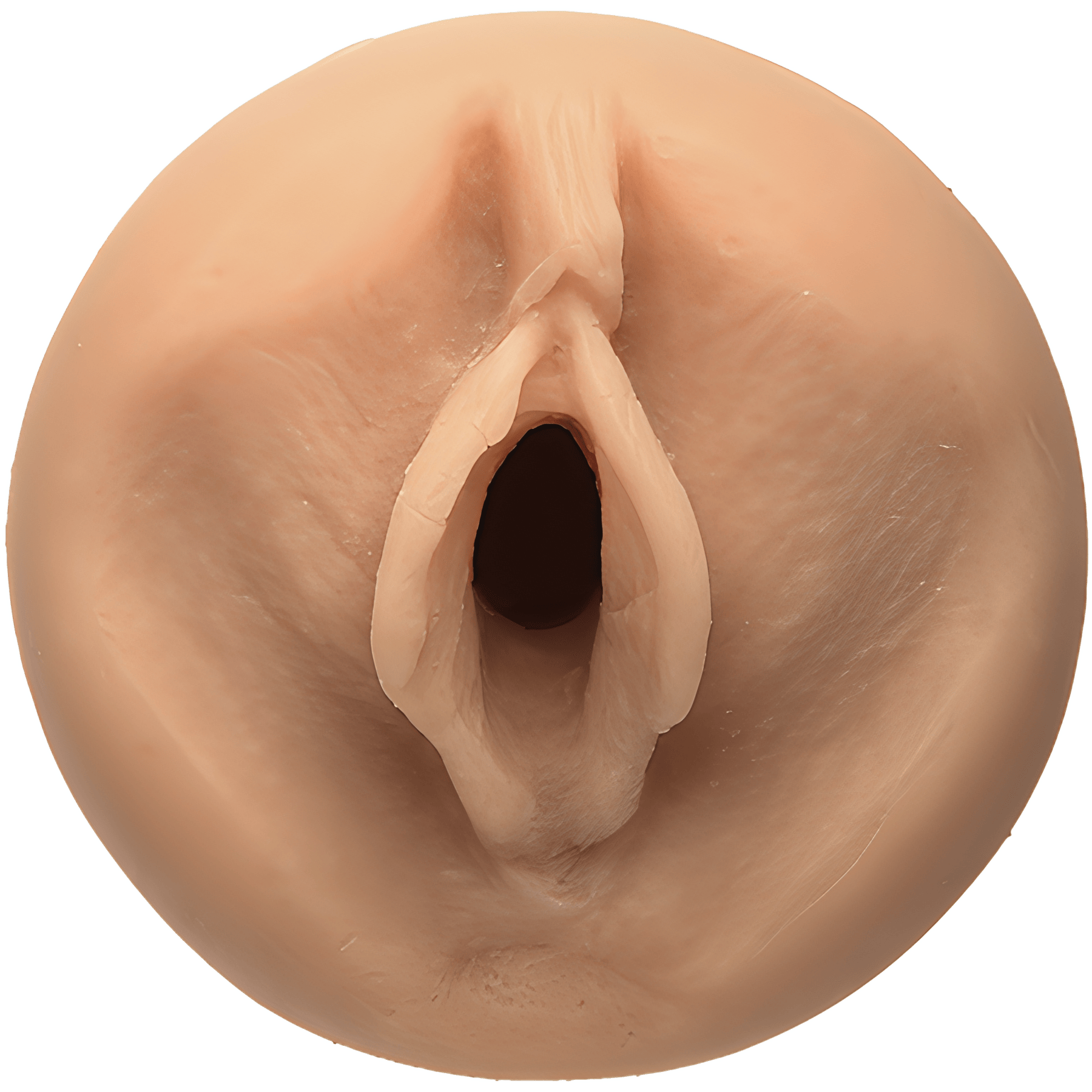 Sasha Grey Pussy - Btantalized.com.au